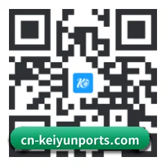 iOS 苹果版 二维码